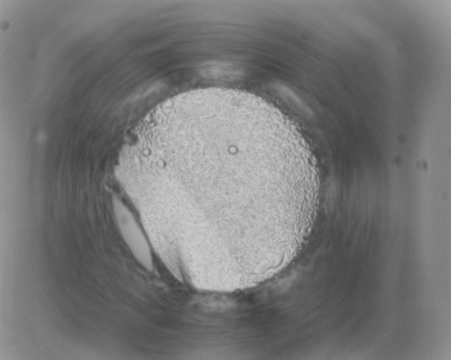 X0000082740917200702240009