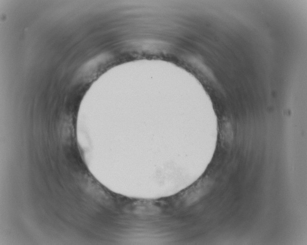 X0000082740918200702240009