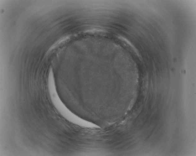 X0000082740919200702240009