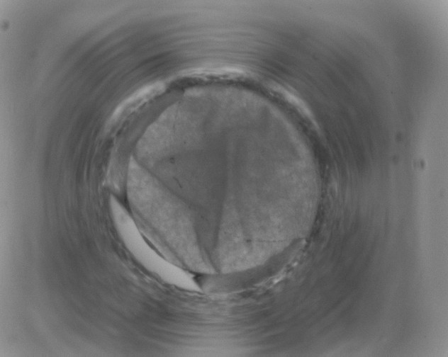 X0000082740920200702240009