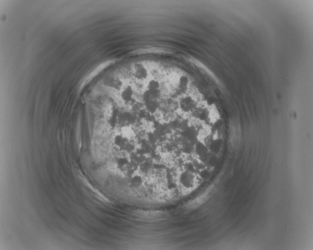 X0000082740921200702240009