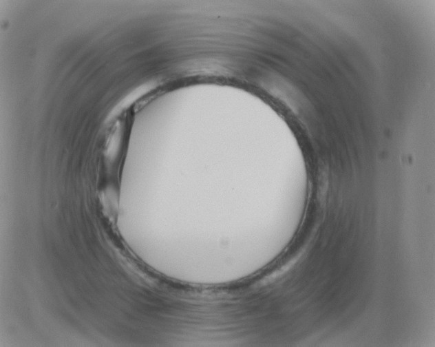 X0000082740922200702240009