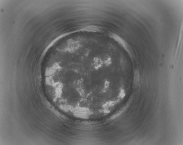 X0000082740923200702240009