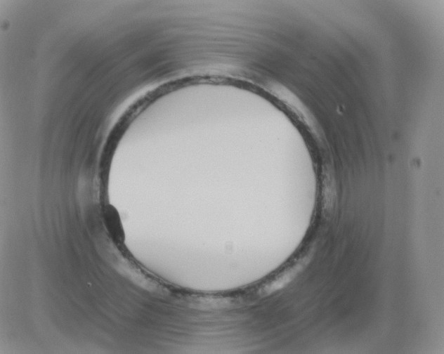 X0000082740924200702240009