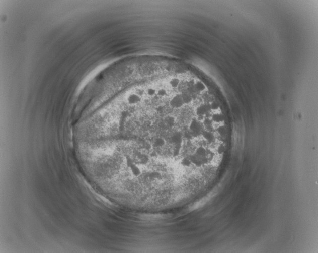 X0000082740925200702240009