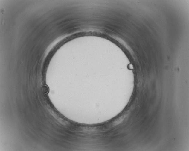 X0000082740927200702240009