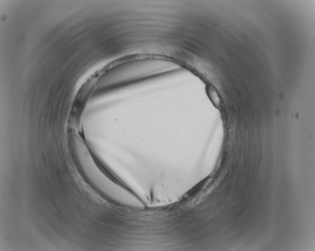 X0000082740928200702240009