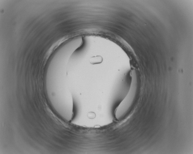 X0000082740930200702240009