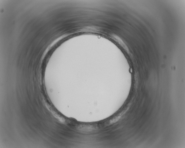 X0000082740931200702240009