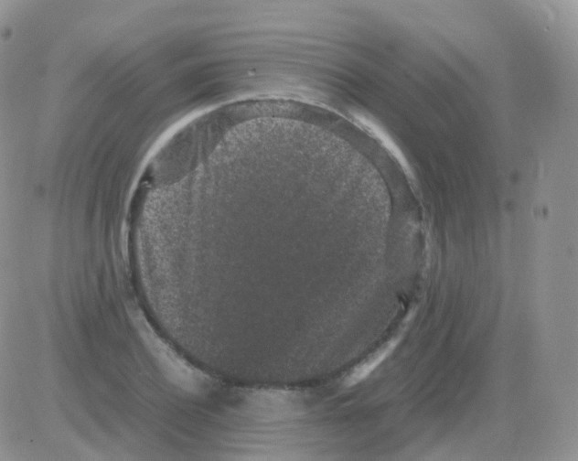 X0000082740932200702240009