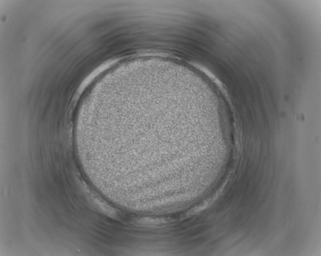 X0000082740933200702240009