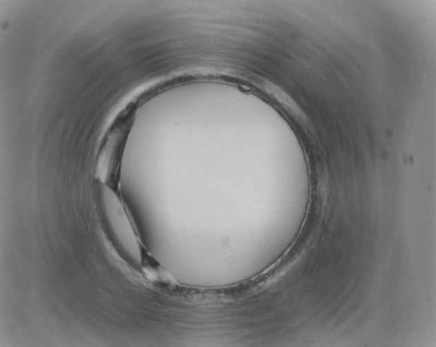 X0000082740934200702240009