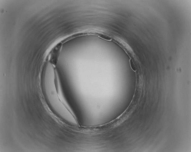 X0000082740936200702240009