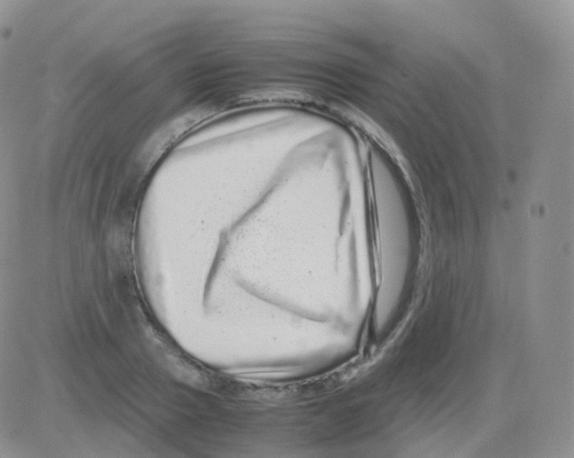 X0000082740937200702240009