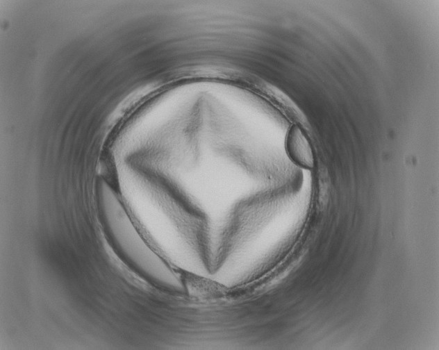 X0000082740938200702240009