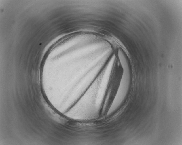 X0000082740939200702240009