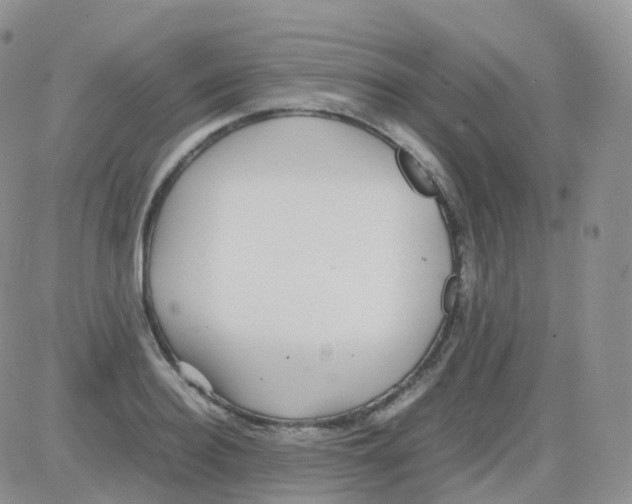 X0000082740940200702240009