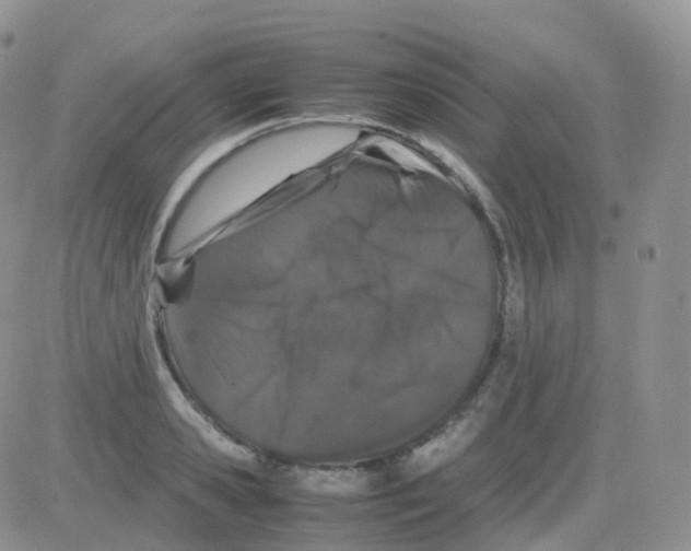 X0000082740941200702240009