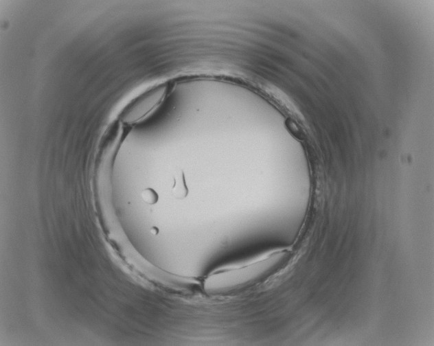 X0000082740942200702240009