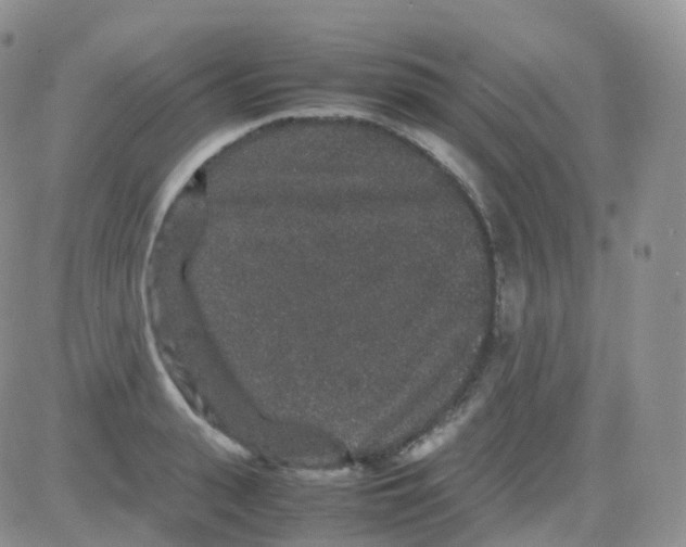 X0000082740943200702240009