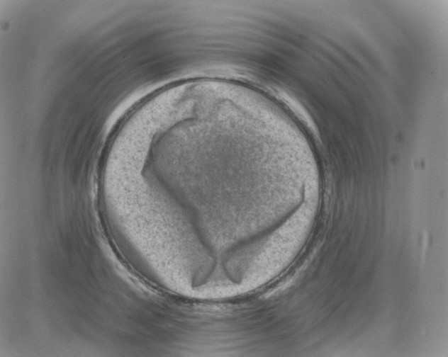 X0000082740944200702240009