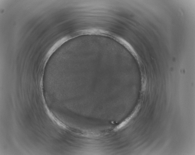 X0000082740946200702240009