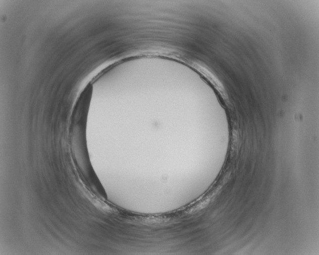 X0000082740948200702240009