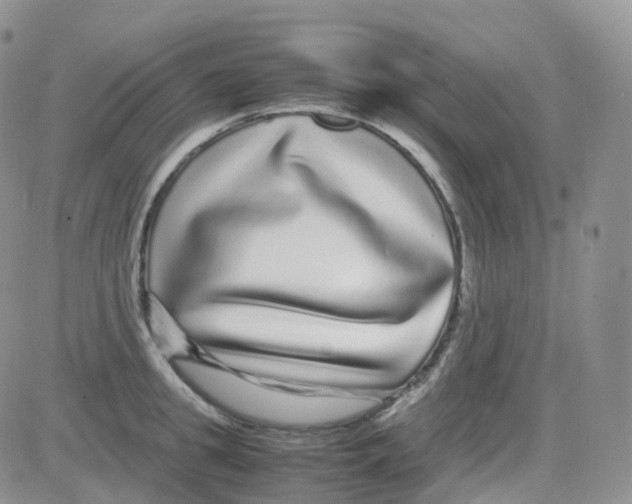 X0000082740949200702240009