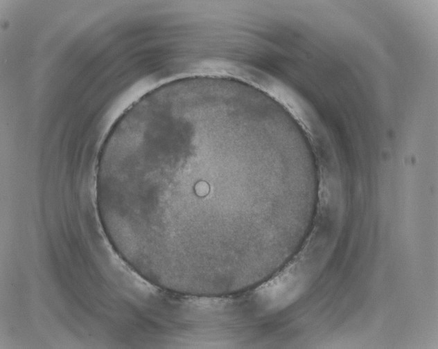 X0000082740950200702240009