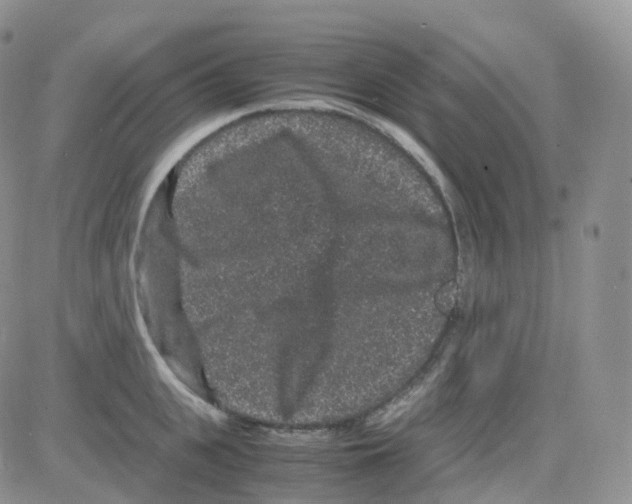 X0000082740951200702240009