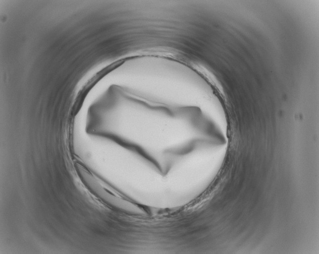 X0000082740952200702240009