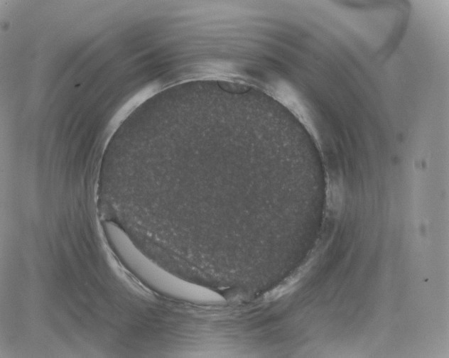 X0000082740954200702240009