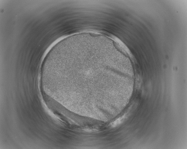 X0000082740955200702240009