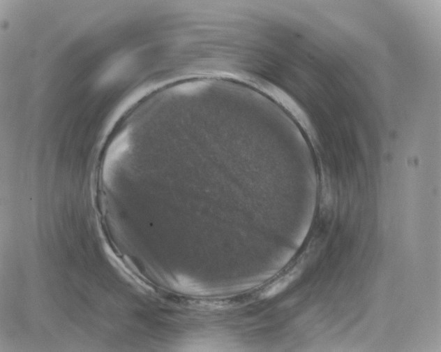 X0000082740958200702240009