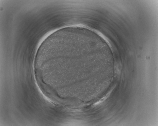 X0000082740959200702240009