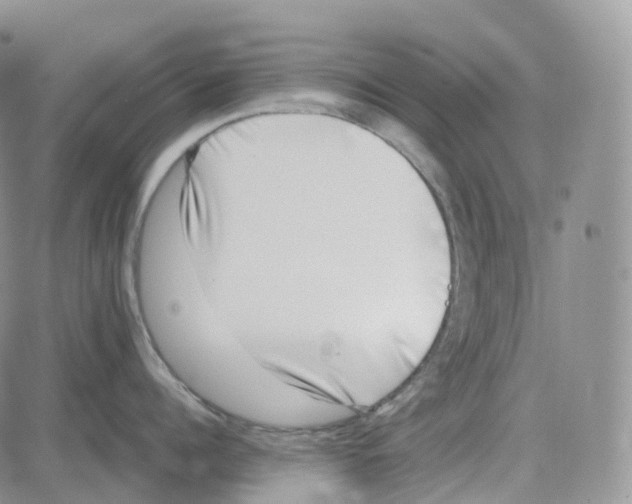 X0000082740960200702240009