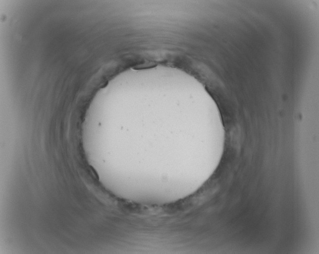 X0000082740961200702240009