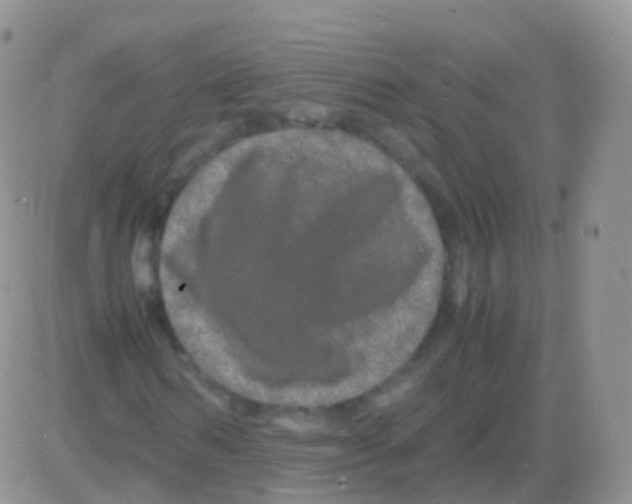 X0000082740962200702240009