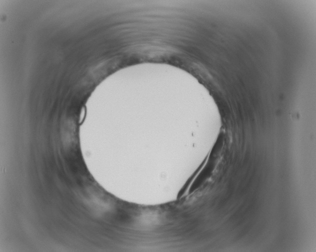 X0000082740964200702240009