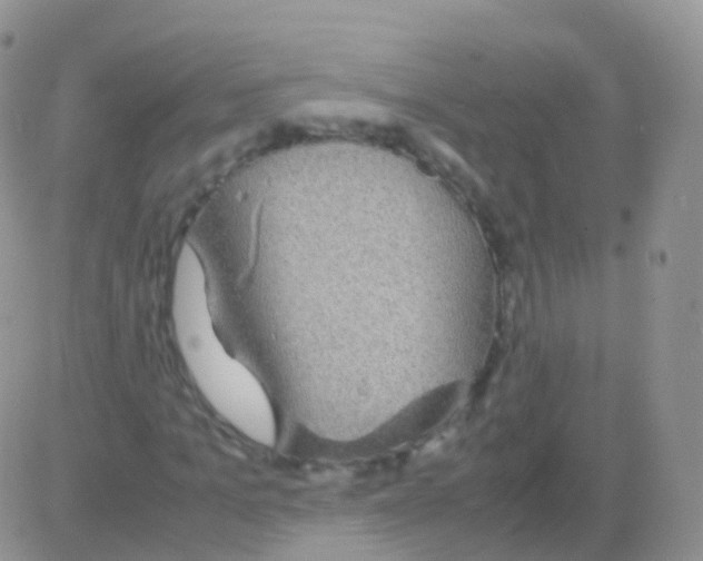 X0000082740965200702240009