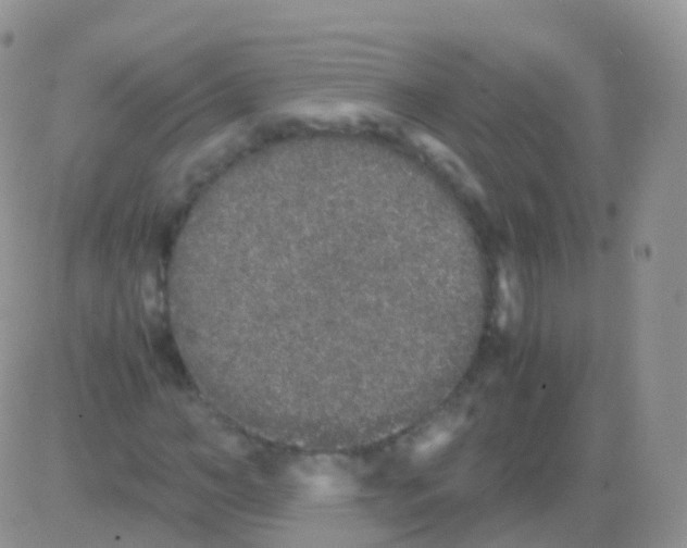 X0000082740966200702240009