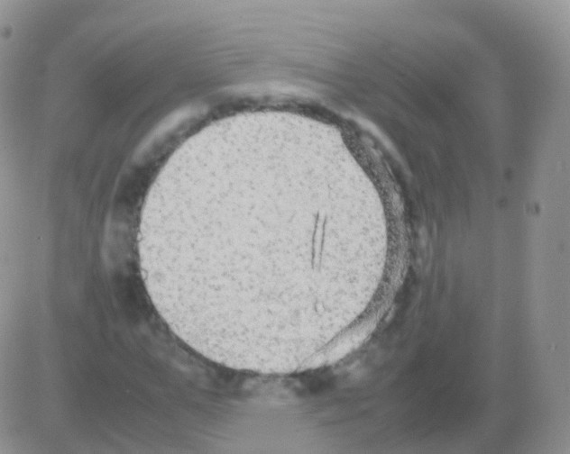 X0000082740967200702240009