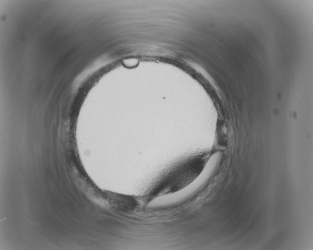 X0000082740971200702240009