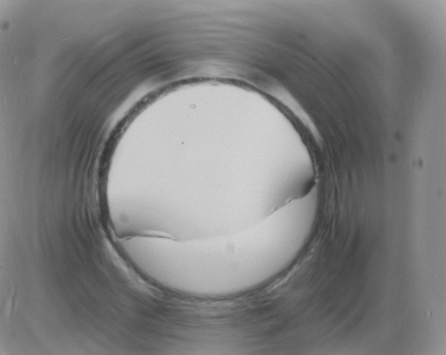 X0000082740972200702240009