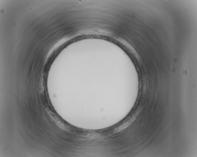 X0000082740974200702240008