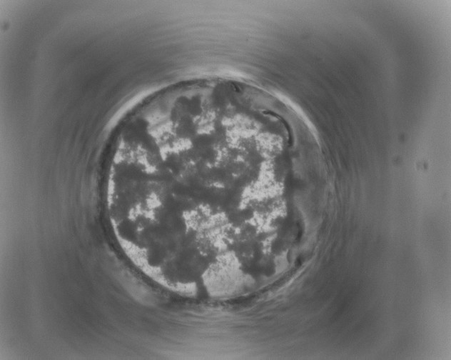 X0000082740975200702240008