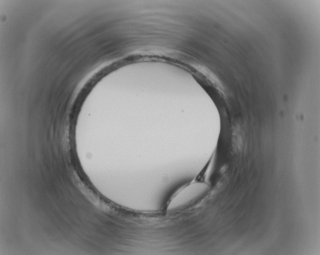 X0000082740976200702240008