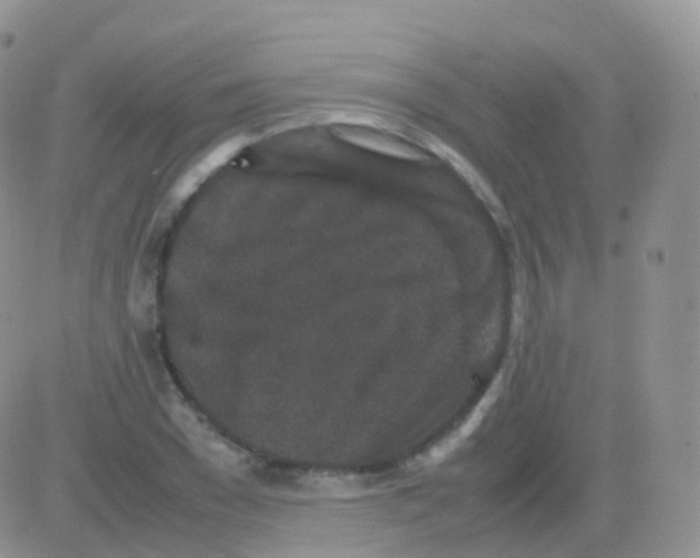 X0000082740977200702240008