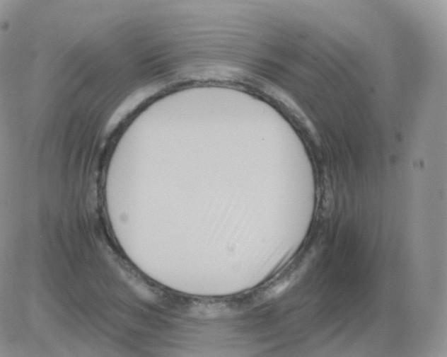 X0000082740978200702240008