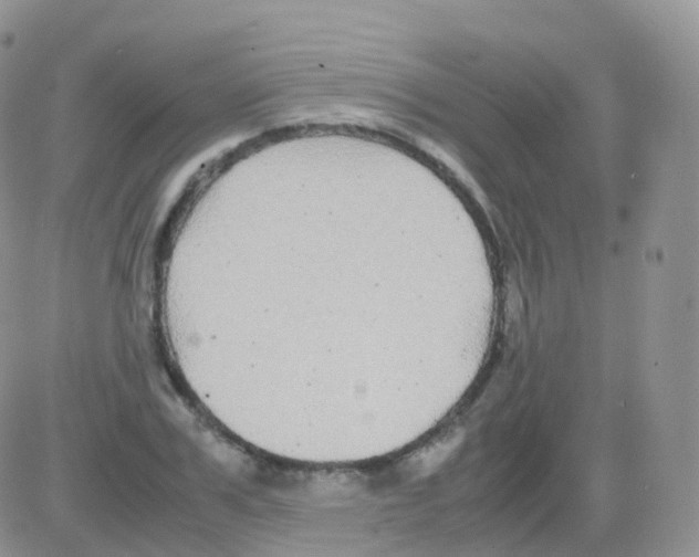 X0000082740979200702240008